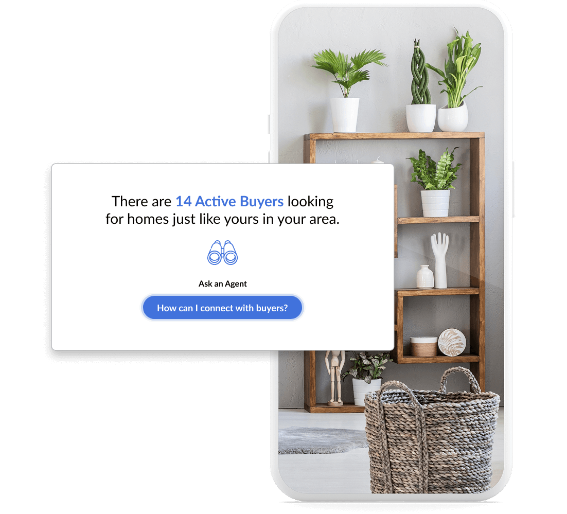 Active Buyers EstateIQ Graphic Royal Blue